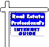 Real Estate Professionals Internet Guide
